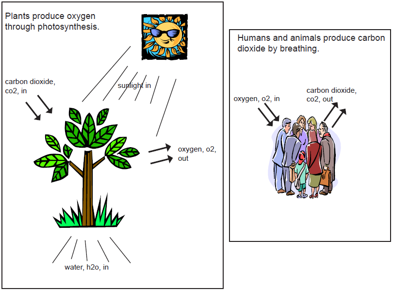 WRITING TASK 1 The diagrams below show how humans and plants interact to produce oxygen and